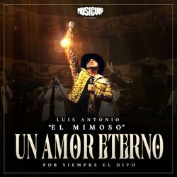 Cover of Un Amor Eterno