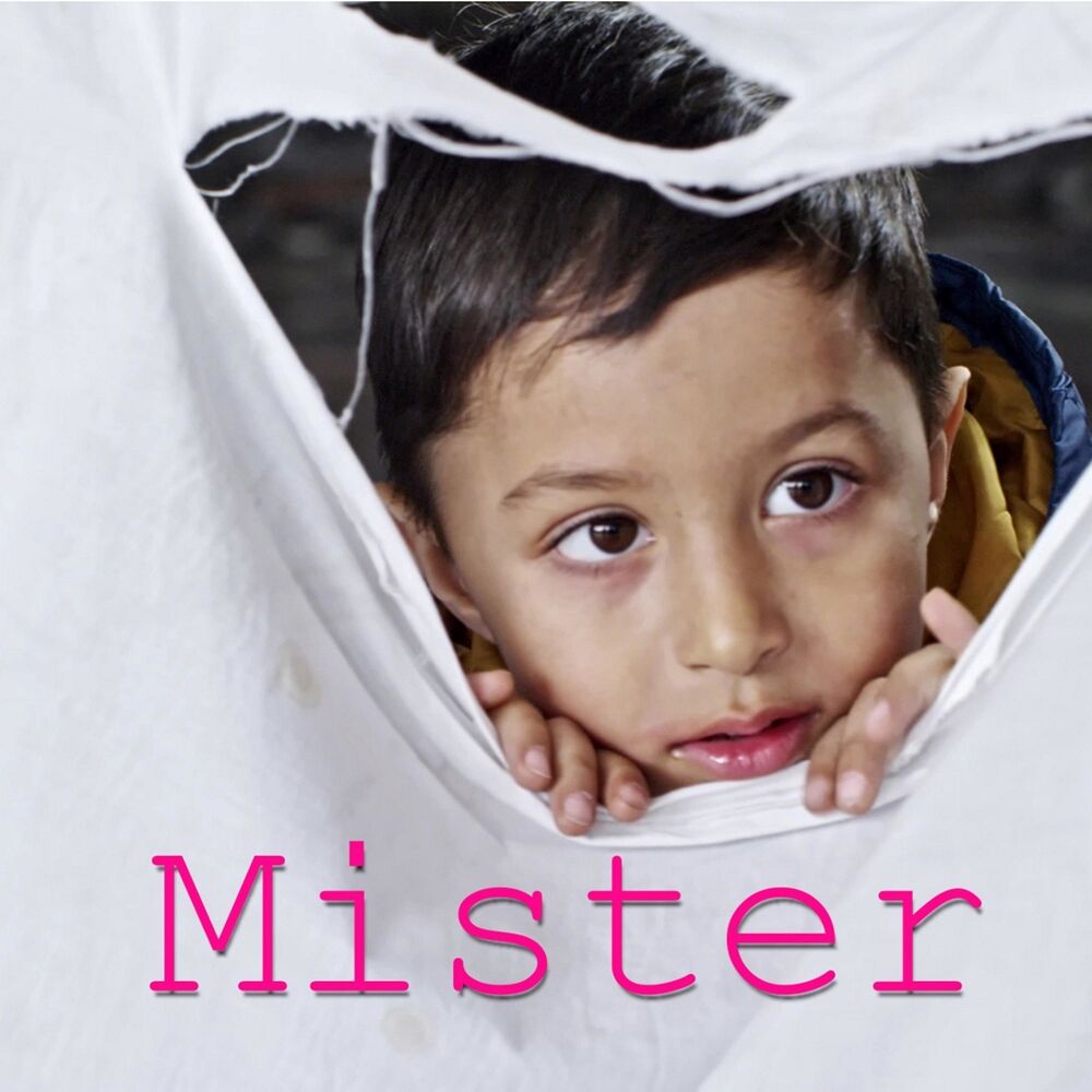 Picture of MISTER