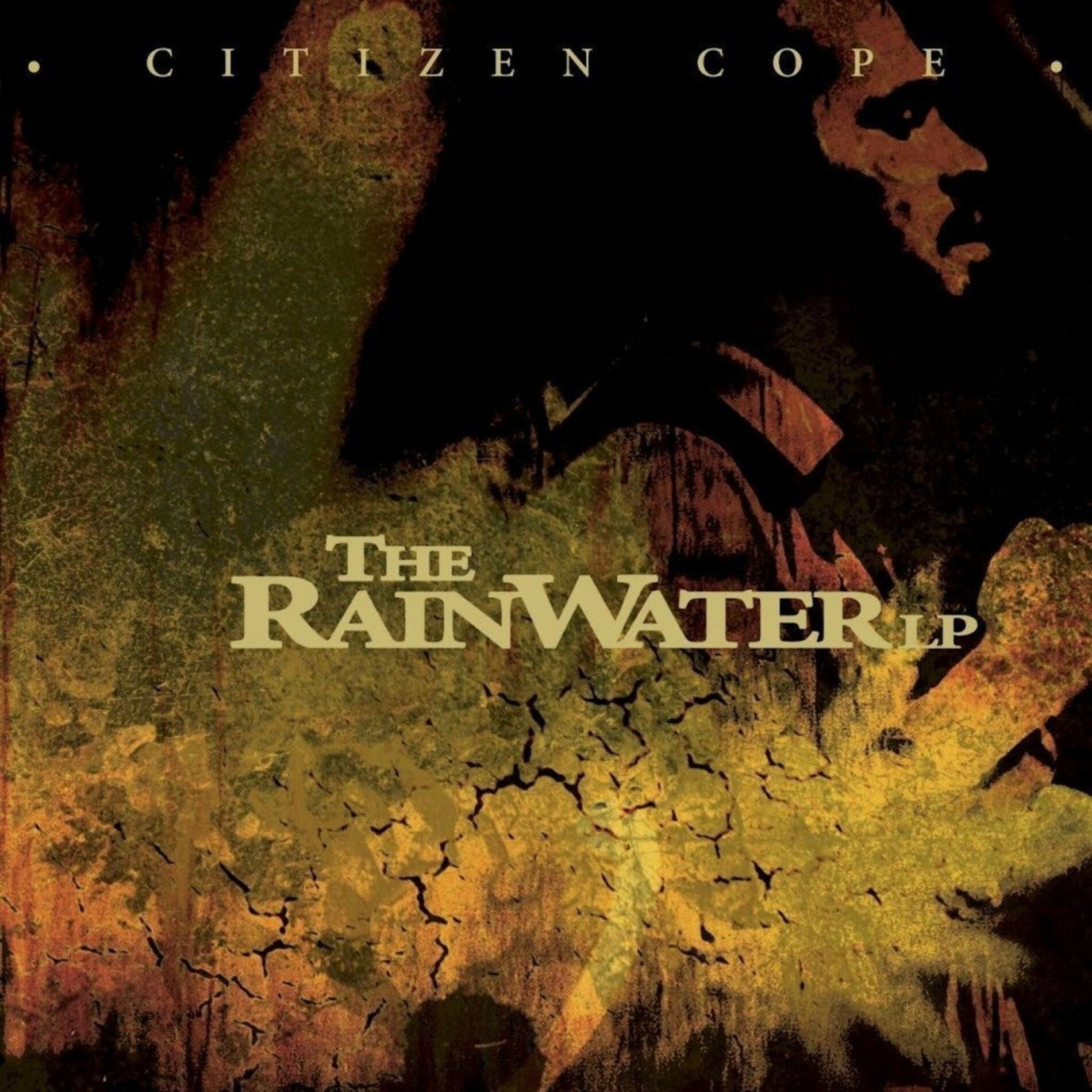 Album cover of The Rainwater