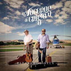 Cover of Estaremos allá