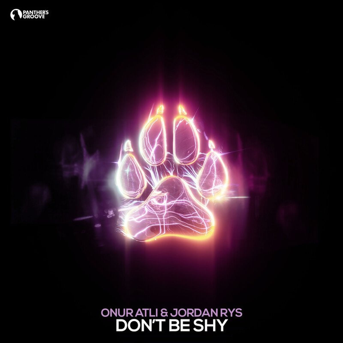 Album cover of Don't Be Shy