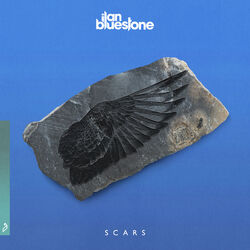 Cover of Scars