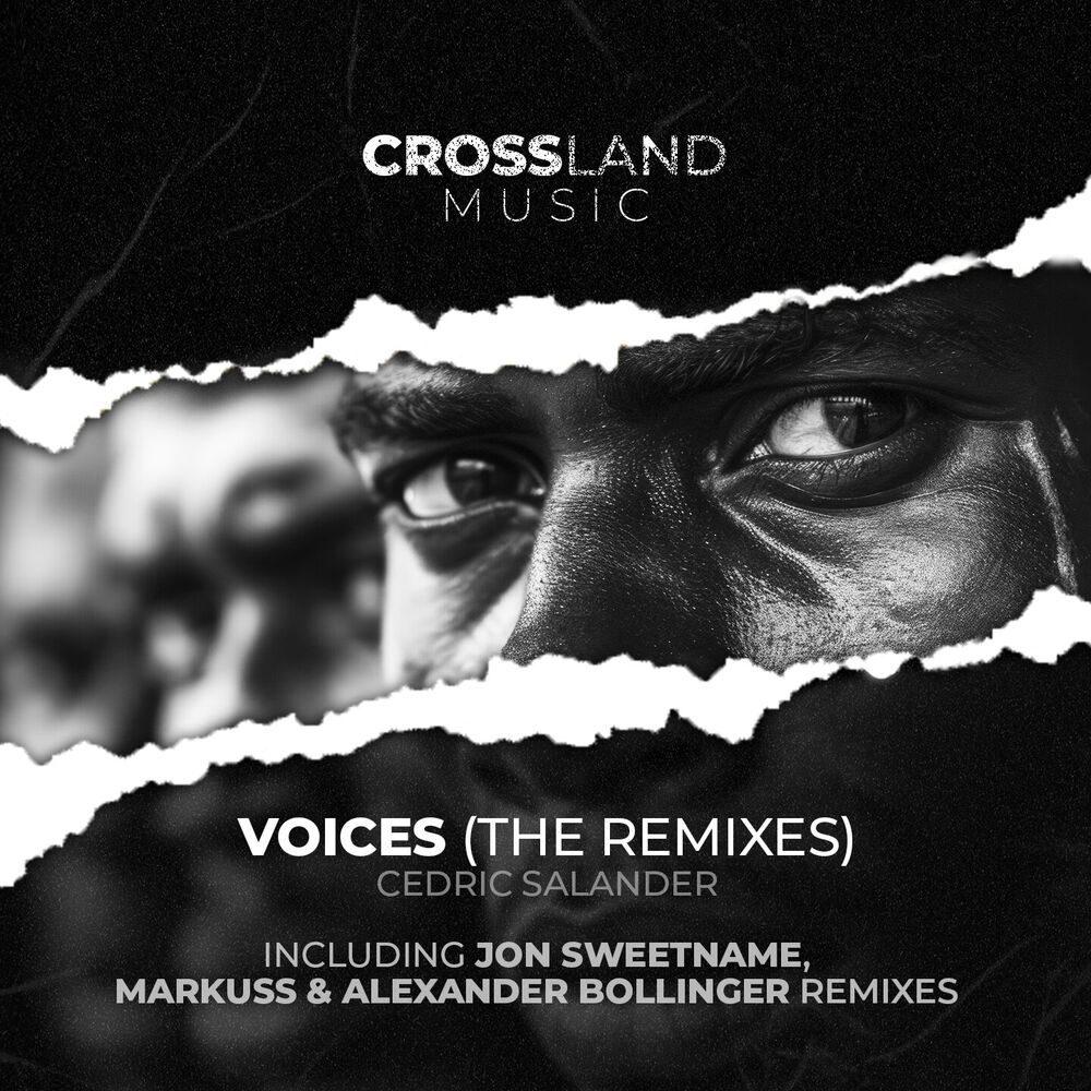 Picture of Voices (The Remixes)
