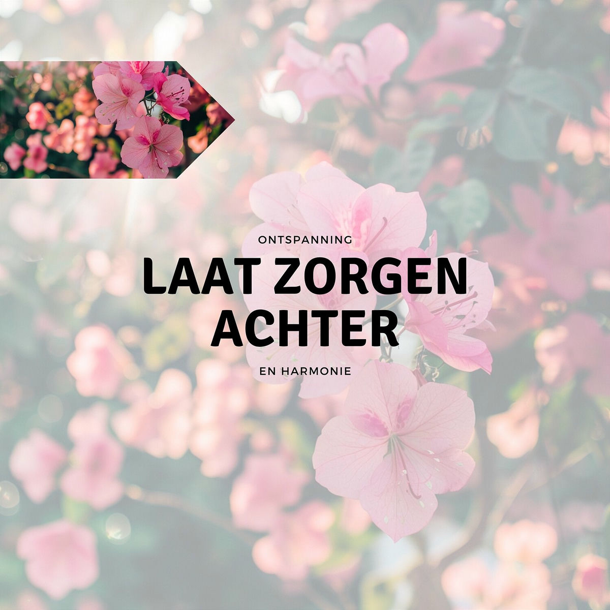 Album cover of Laat Zorgen Achter