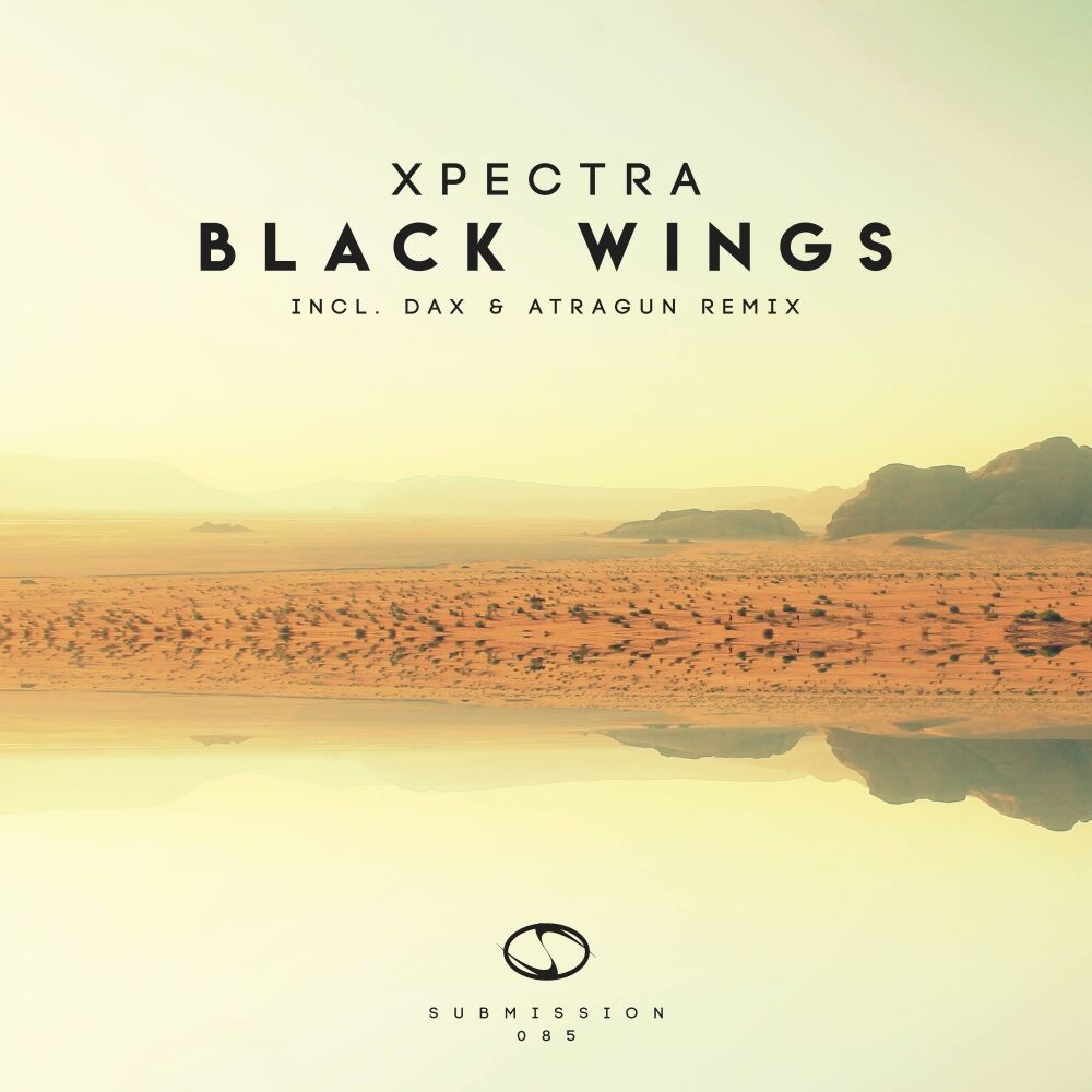 Picture of Black Wings
