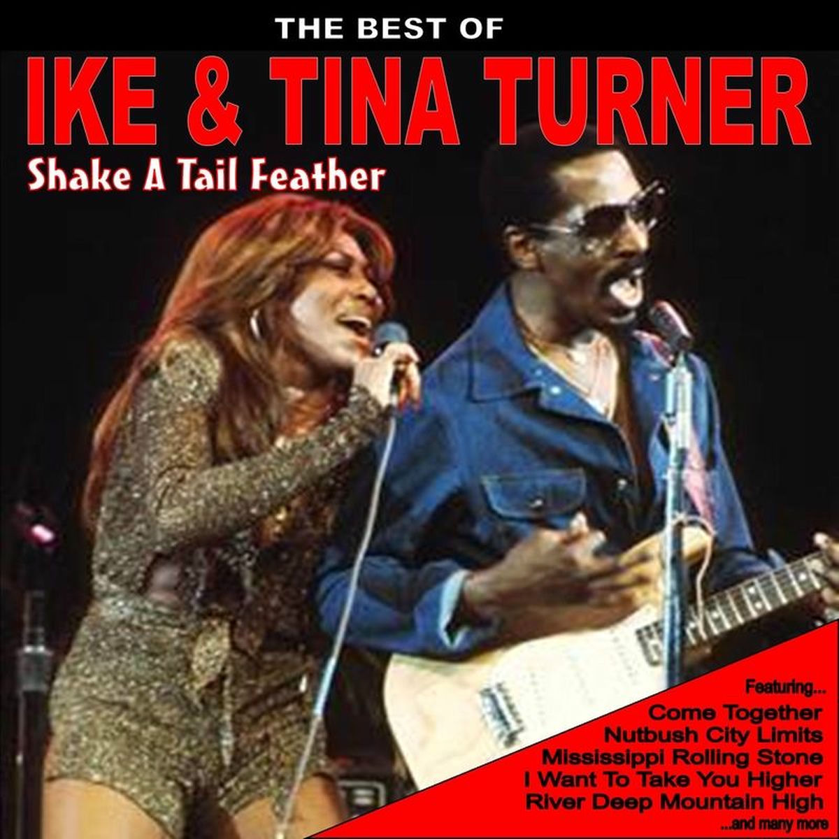 Album cover of Shake a Tail Feather