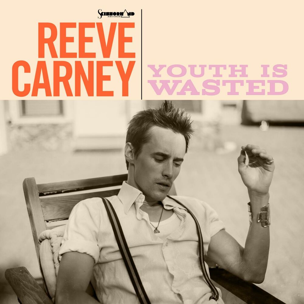 Picture of Youth Is Wasted