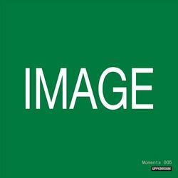 Cover of Moments: Image 005