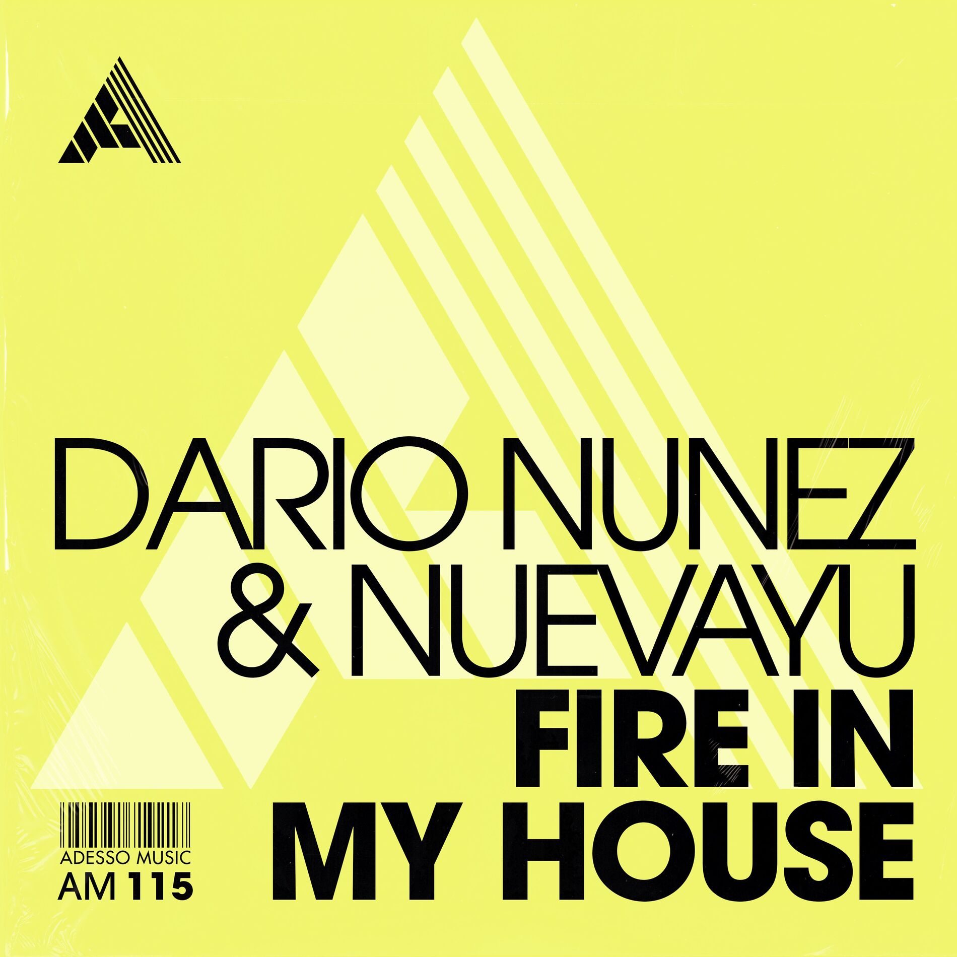 Album cover of Fire In My House