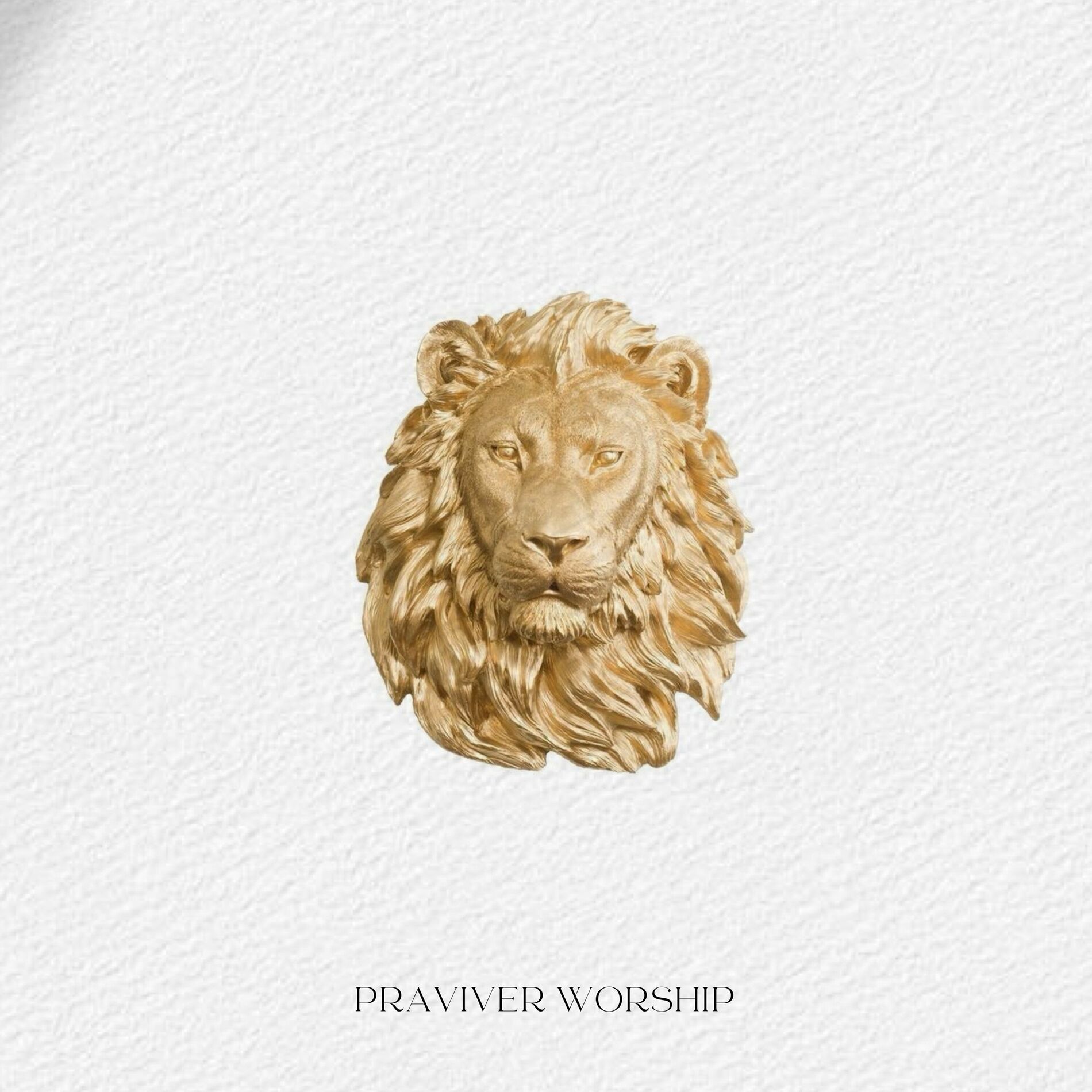 Album cover of O Nome Sobre Todos