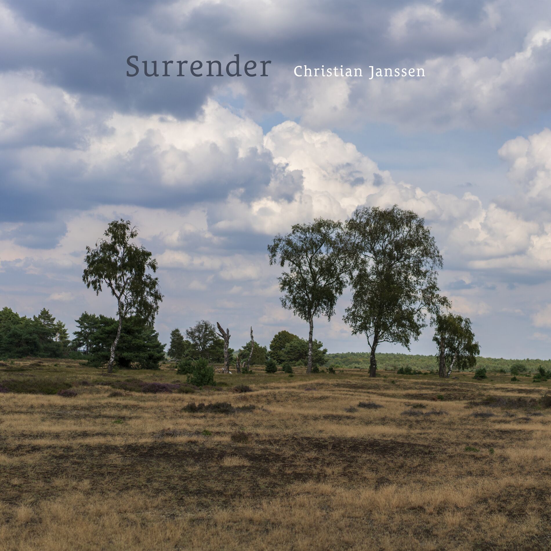 Album cover of Surrender