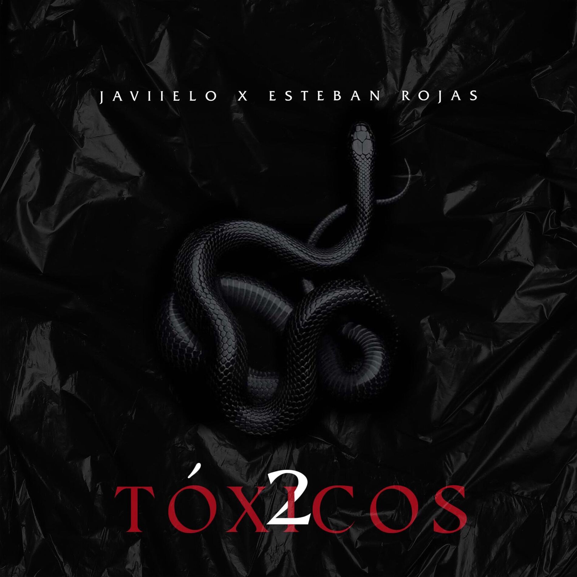 Album cover of 2 Tóxicos