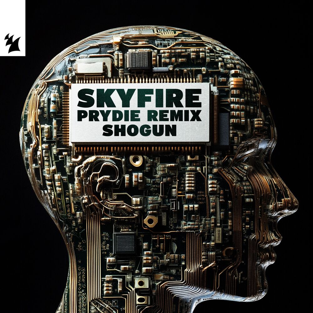 Picture of Skyfire (PRYDIE Remix)