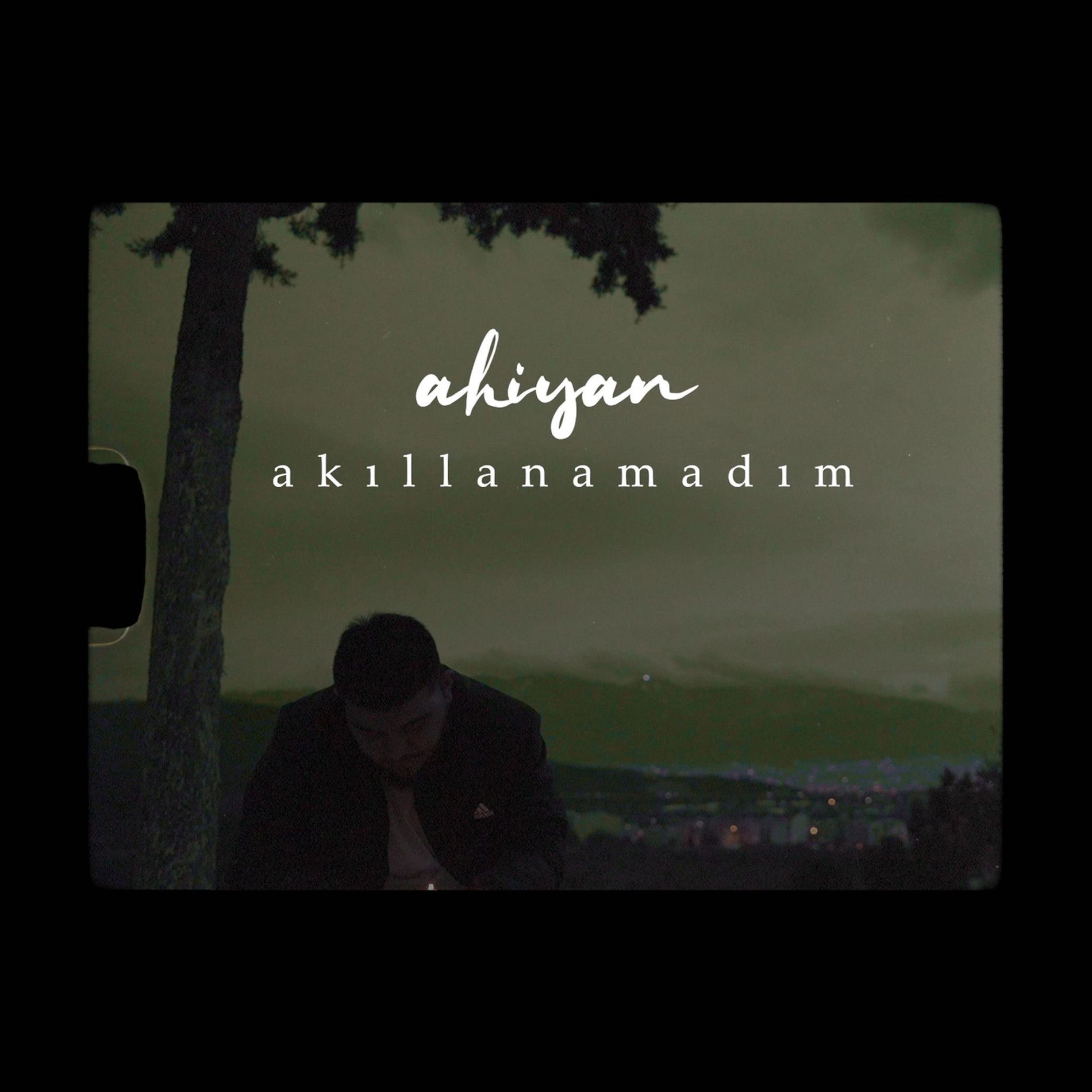 Album picture of Akıllanamadım