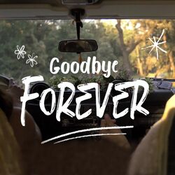 Cover of Goodbye Forever