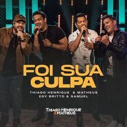 Cover of Foi sua Culpa