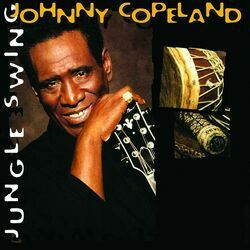 Cover of Jungle Swing