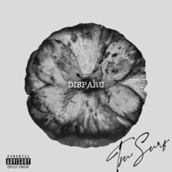 Cover of DISPARU