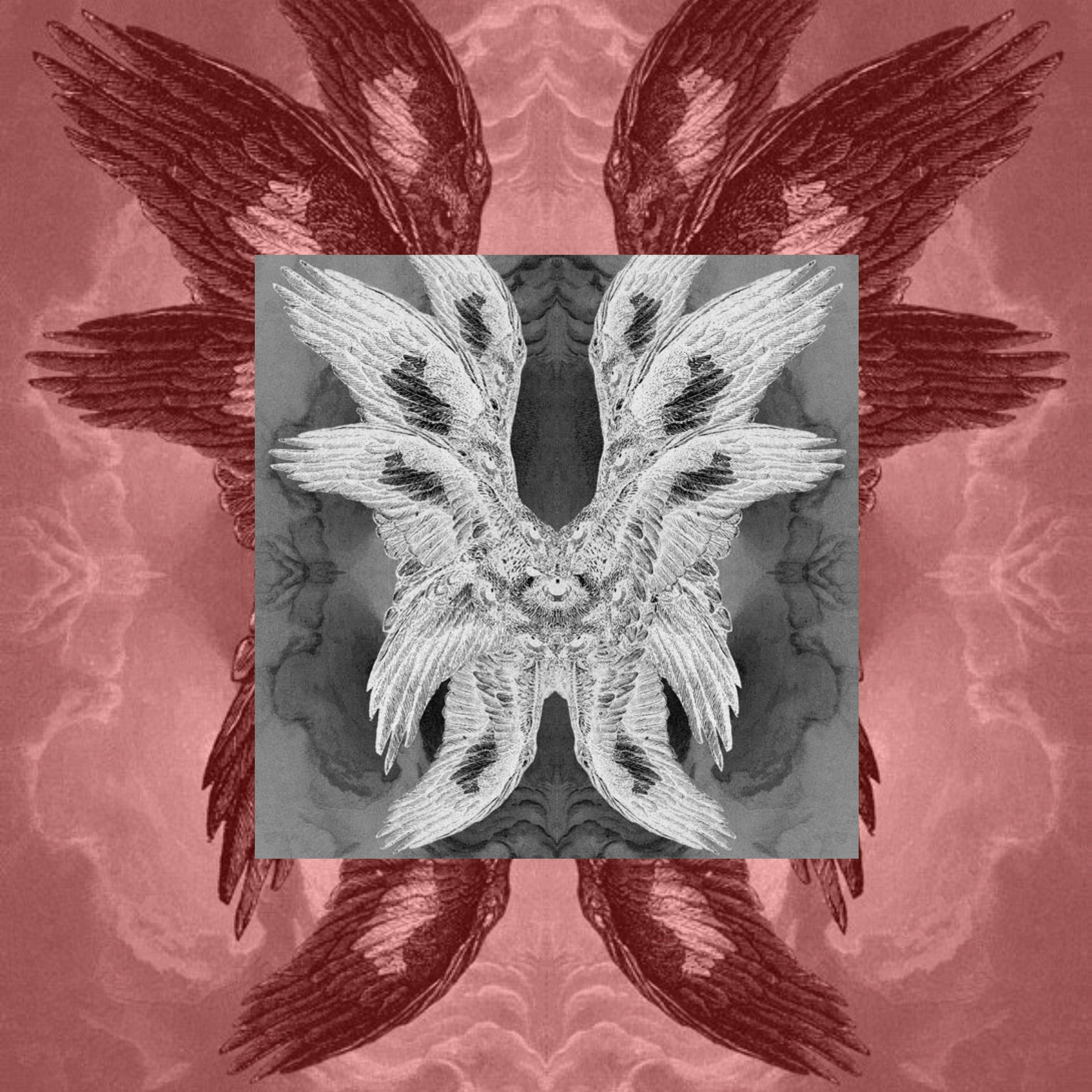 Album cover of The Ugly One