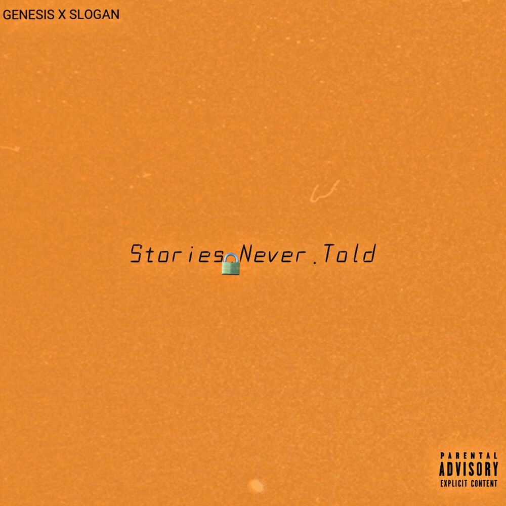 Picture of Stories Never Told