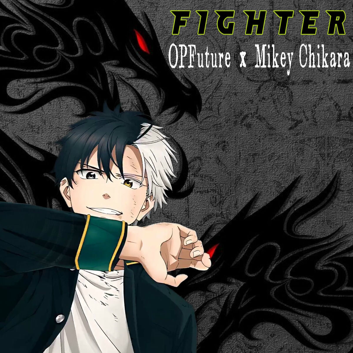 Album cover of Fighter