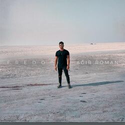 Cover of Ağır Roman