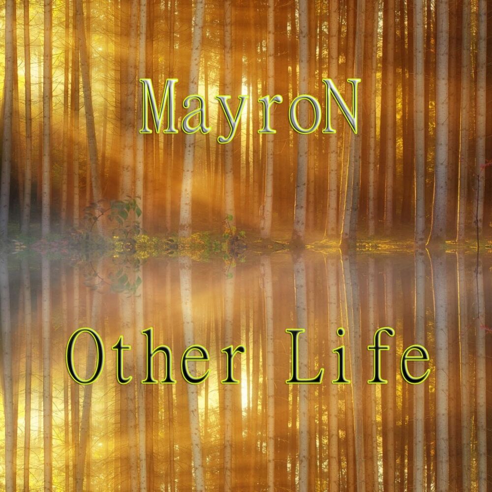 Picture of Other Life (Emotional Mix)