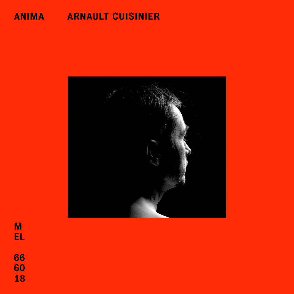 Picture of Anima