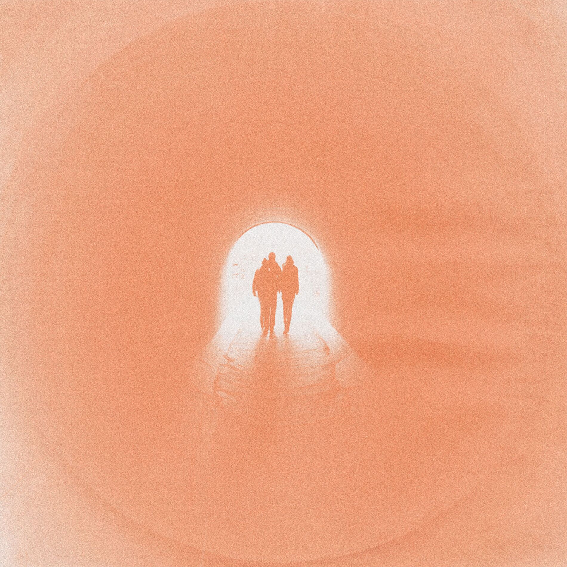 Album cover of Wild One