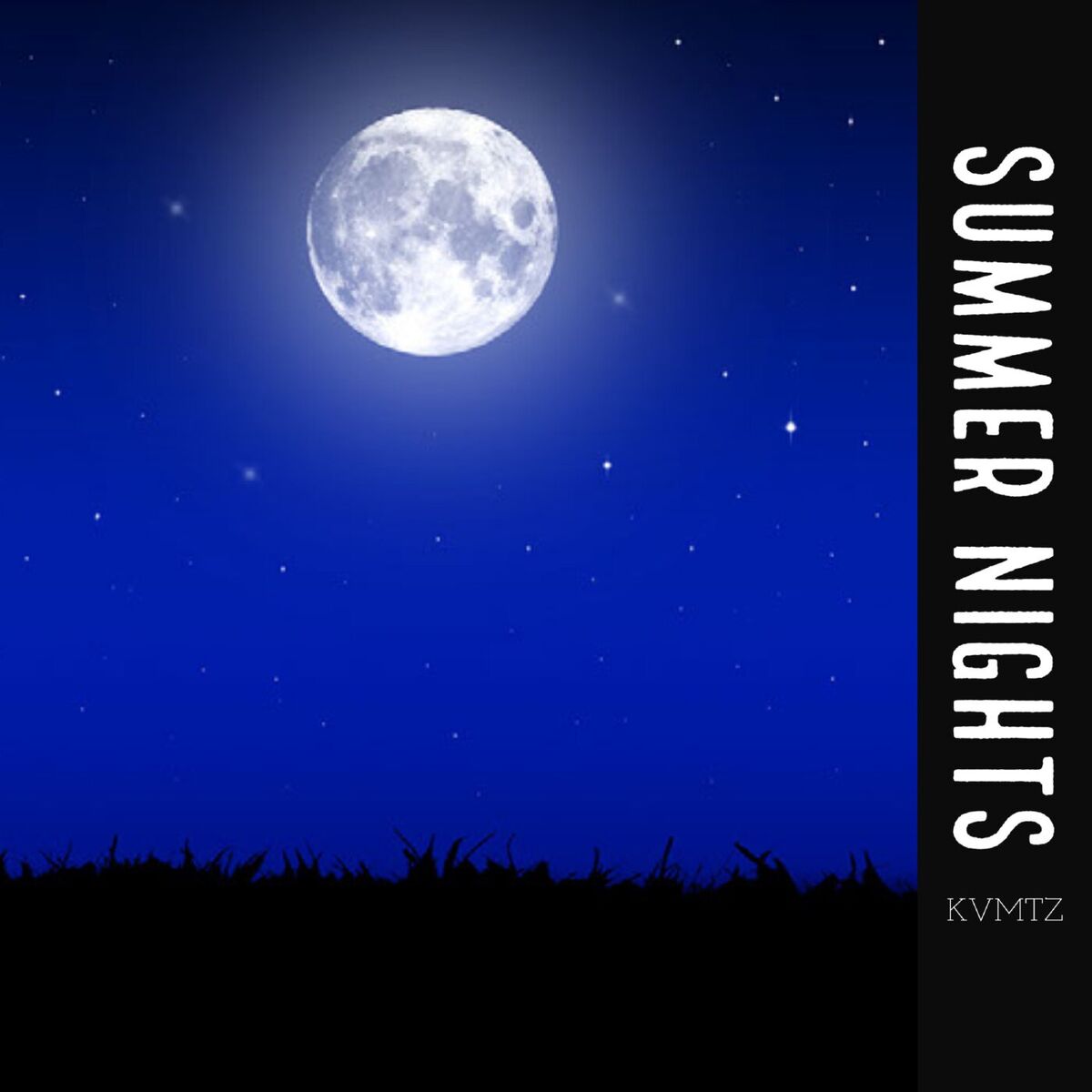 Album cover of Summer Nights