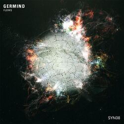 Cover of Flows