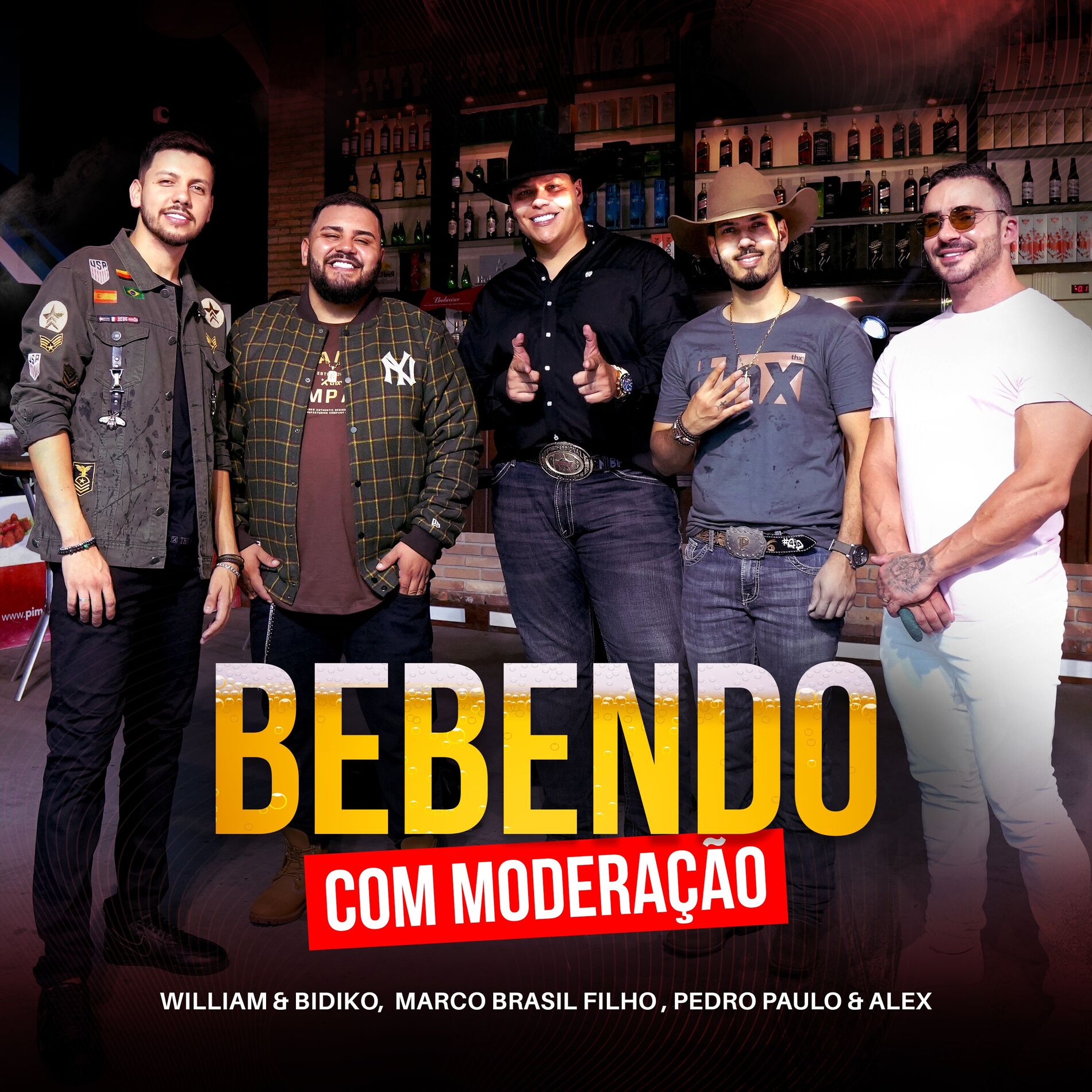 Album cover of Bebendo Com Moderação