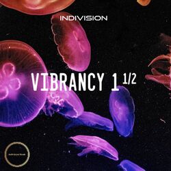 Cover of Vibrancy 1½