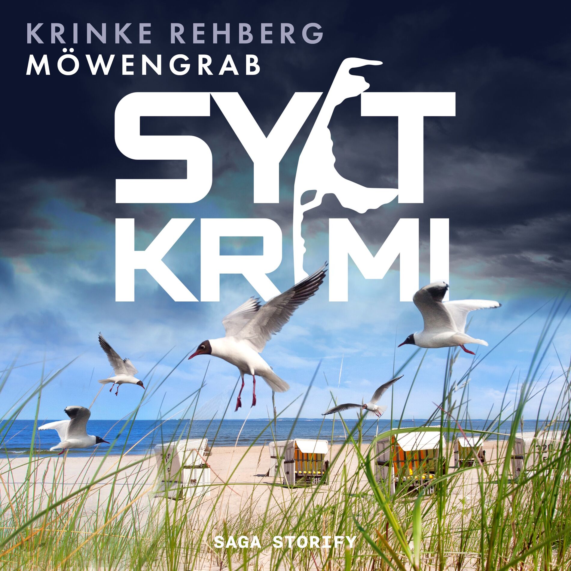 Album cover of Kapitel 01 - SYLT-KRIMI Möwengrab: Küstenkrimi (Nordseekrimi)