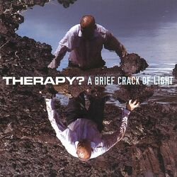 Cover of A Brief Crack of Light