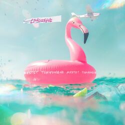 Cover of Limousine