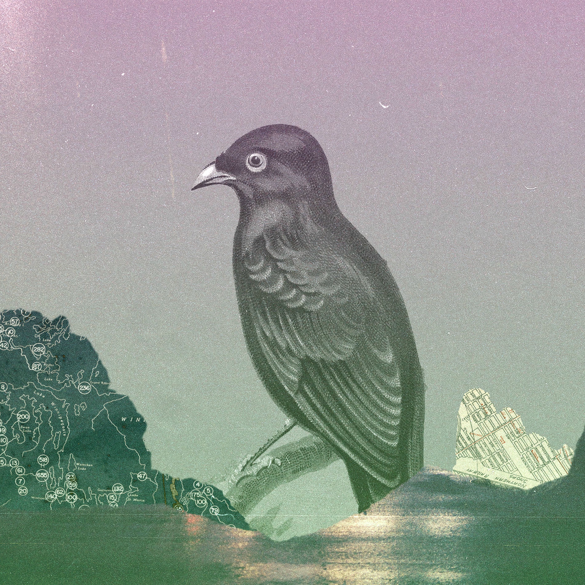 Album cover of Outta Sight Outta Mind