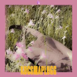 Cover of KOCSMAPLUGG
