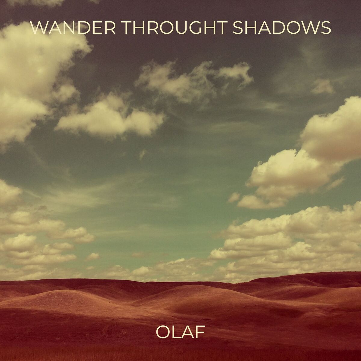Album cover of Wander Throught Shadows