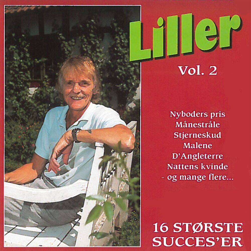 Picture of 16 Største Succes'er 2
