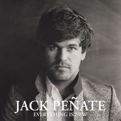 Cover of Everything Is New