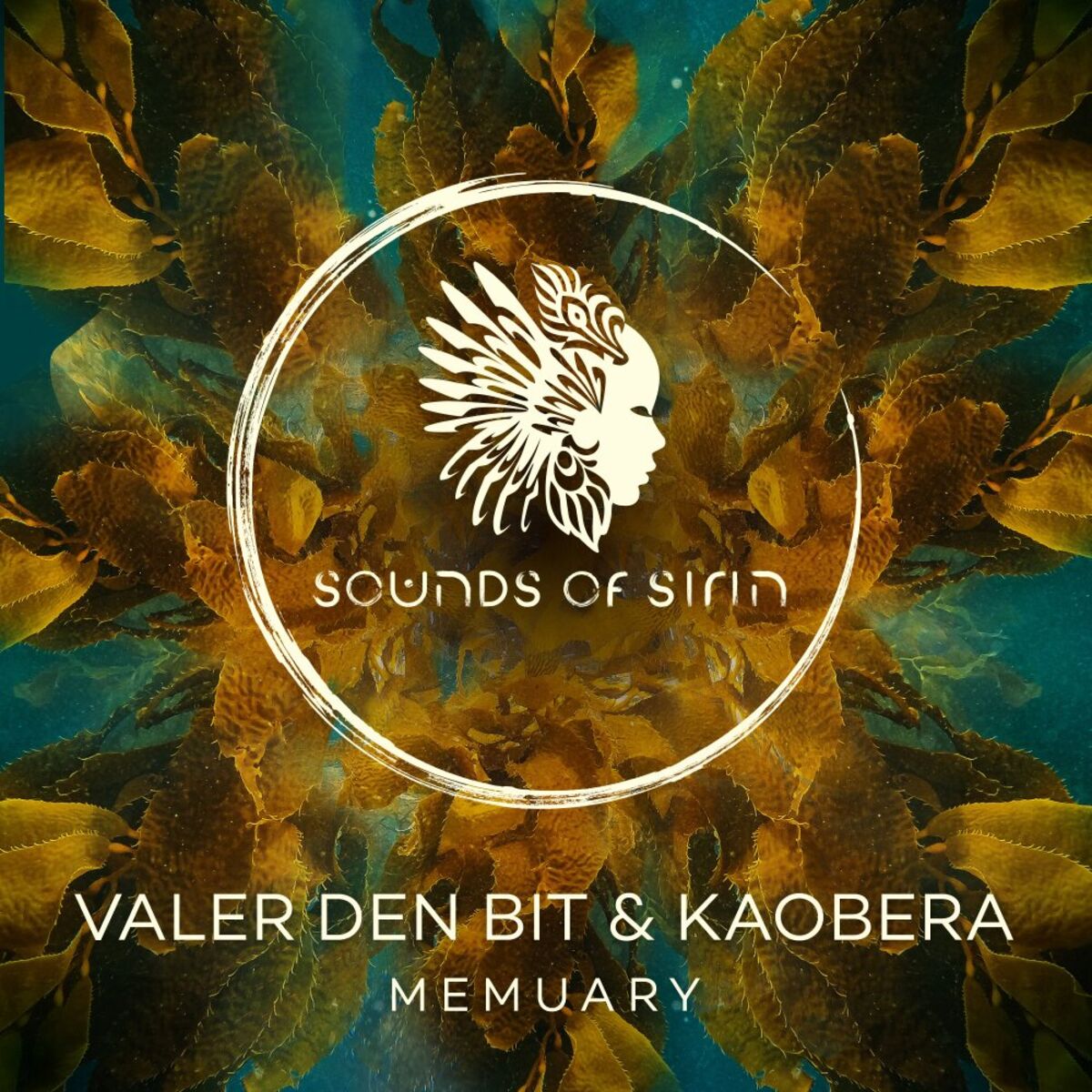Album cover of Memuary