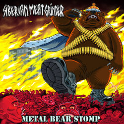 music cover
