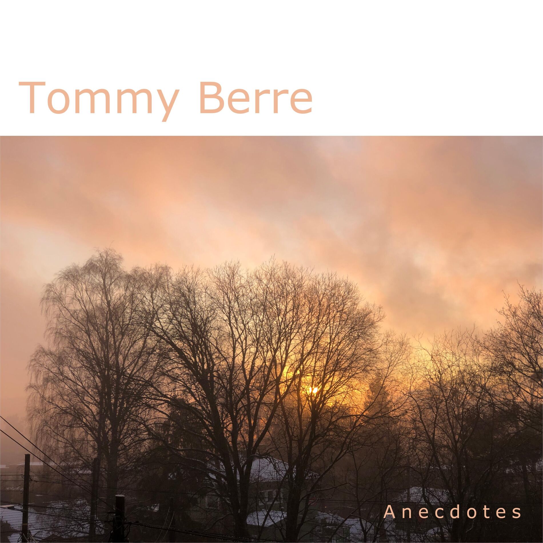 Album cover of Anecdotes