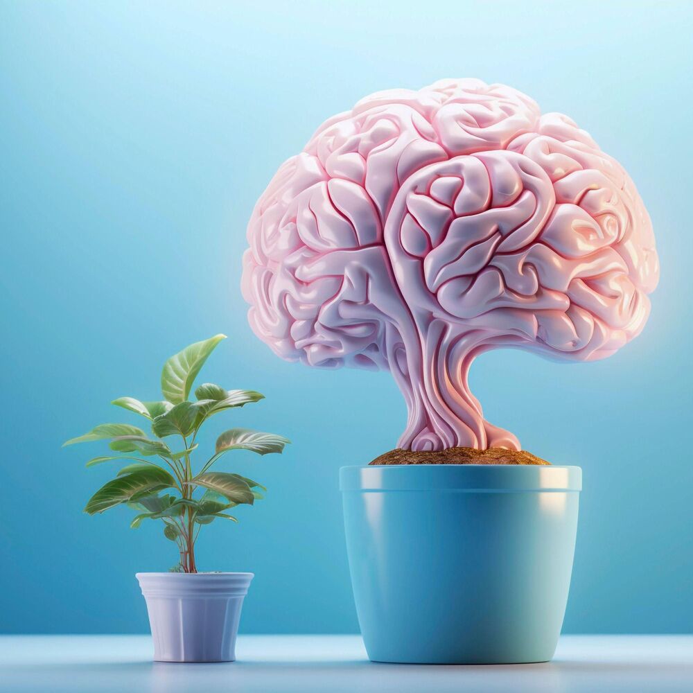 Picture of Neural Activation for Elevated Mood: Boosts Dopamine & Endorphins