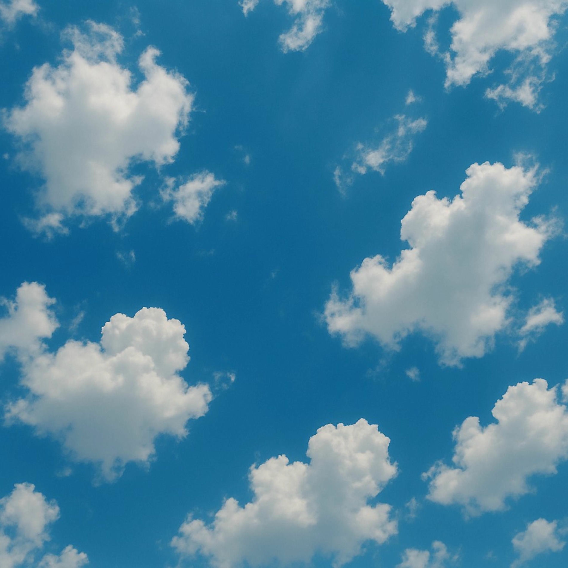 Album cover of if only... (feat. Ram Dass)