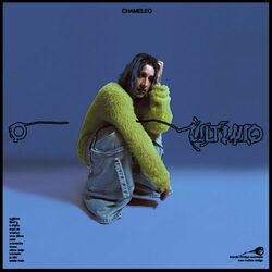 Cover of o último