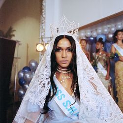 Cover of Sugar Honey Iced Tea (S.H.I.T.)