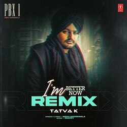 Cover of I'm Better Now Remix