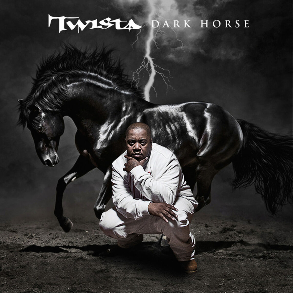 Album cover of The Dark Horse